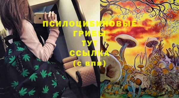спайс Алексин
